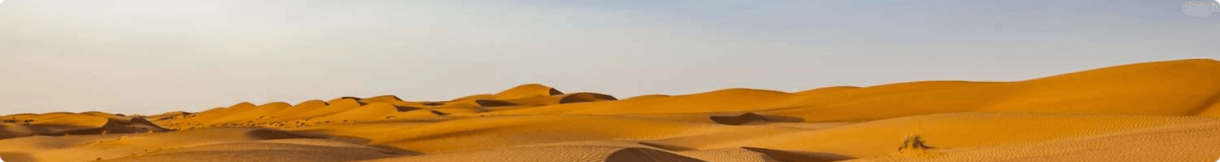 Subscribe background